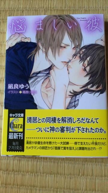 7月新刊 悩ましい彼 美しい彼3 凪良ゆう 葛西リカコ 新品 中古のオークション モバオク 7月新刊 悩ましい彼 美しい彼3 凪良ゆう 葛西リカコ 新品 中古のオークション モバオク