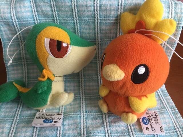 ポケモンぬいぐるみ アチャモ ツタージャ セットにして 新品 中古のオークション モバオク ポケモンぬいぐるみ アチャモ ツタージャ セットにして 新品 中古のオークション モバオク