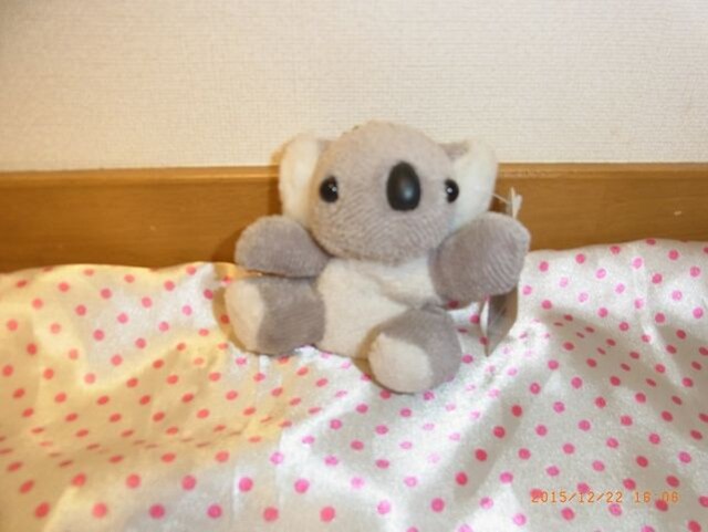 格安 可愛いコアラのキーホルダー こあら ぬいぐるみ 新品 中古のオークション モバオク
