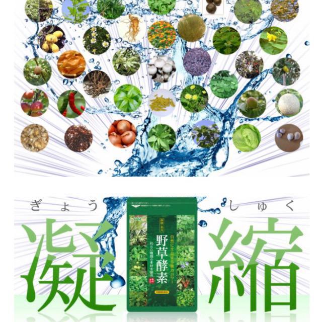 特価ブランド 野草酵素 - 飲料/酒 - www.primemedcoworking.com.br 特価ブランド 野草酵素 - 飲料/酒 - www.primemedcoworking.com.br