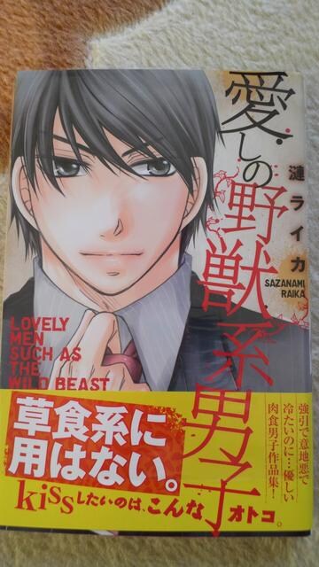 愛しの野獣系男子 漣ライカ プチプリンセス 秋田書店 新品 中古のオークション モバオク