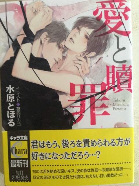 Bl小説 愛と贖罪 水原とほる 葛西リカコ 新品 中古のオークション モバオク Bl小説 愛と贖罪 水原とほる 葛西リカコ 新品 中古のオークション モバオク