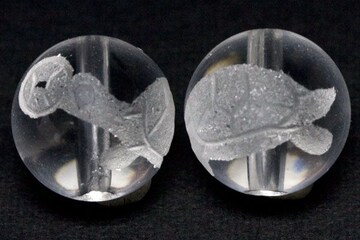 ゼニガメ 新品 中古商品 新品 中古のオークション モバオク ゼニガメ 新品 中古商品 新品 中古のオークション モバオク