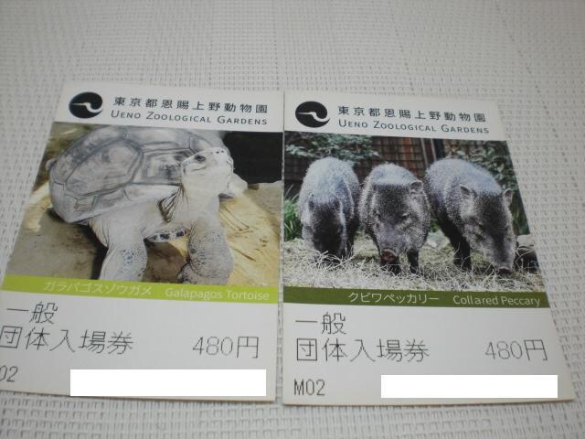 上野動物園 入場券 2枚セット チケット 金券 新品 中古のオークション モバオク No