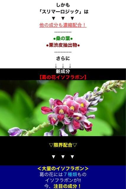 芸能人 モデル愛用 スピード短期ダイエット スリマーロジック Bidding Amp Shopping Support Deputy Service Japamart 芸能人 モデル愛用 スピード短期ダイエット スリマーロジック Bidding Amp Shopping Support Deputy Service Japamart