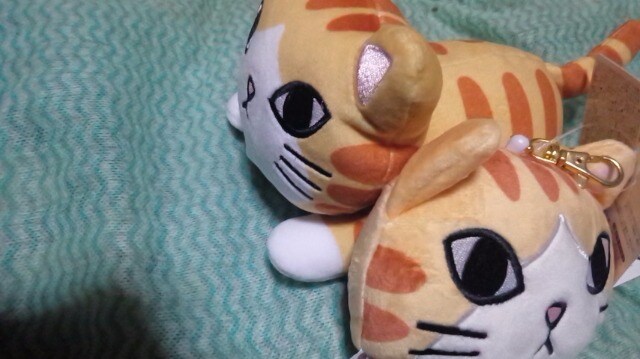 フェリシモ猫部ツンデレにゃん ぬいぐるみ パスケース 茶トラ おもちゃ 新品 中古のオークション モバオク No フェリシモ猫部ツンデレにゃん ぬいぐるみ パスケース 茶トラ おもちゃ 新品 中古のオークション モバオク No