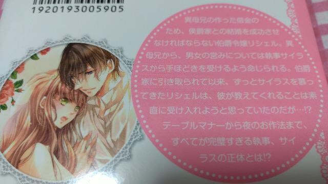 Tl シフォン文庫 冊セット 葉月エリカ Bidding Amp Shopping Support Deputy Service Japamart