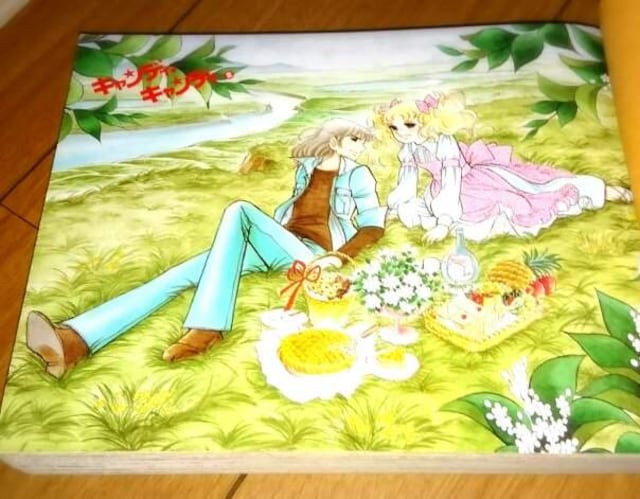 初版 キャンディキャンディ ケース入 愛蔵版 全巻 全2巻 完結 アニメ コミック キャラクター 新品 中古のオークション モバオク No 初版 キャンディキャンディ ケース入 愛蔵版 全巻 全2巻 完結 アニメ コミック キャラクター 新品 中古のオークション モバオク No