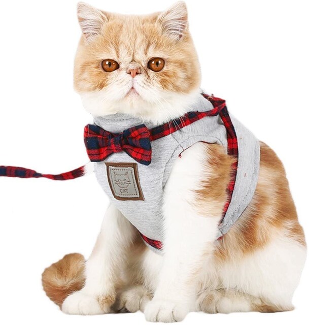 猫 猫用 ハーネス 胴輪 散歩 お出かけ Xs S M ペット 手芸 園芸 新品 中古のオークション モバオク 猫 猫用 ハーネス 胴輪 散歩 お出かけ Xs S M ペット 手芸 園芸 新品 中古のオークション モバオク